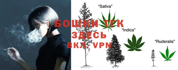 ALPHA-PVP Алексеевка