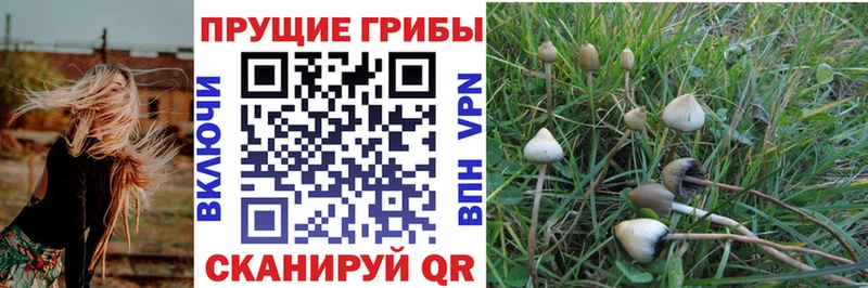 Псилоцибиновые грибы мухоморы  Купить  Ветлуга 